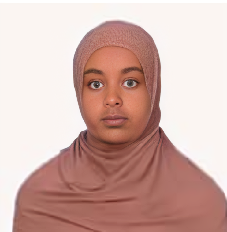 صورة العاملة