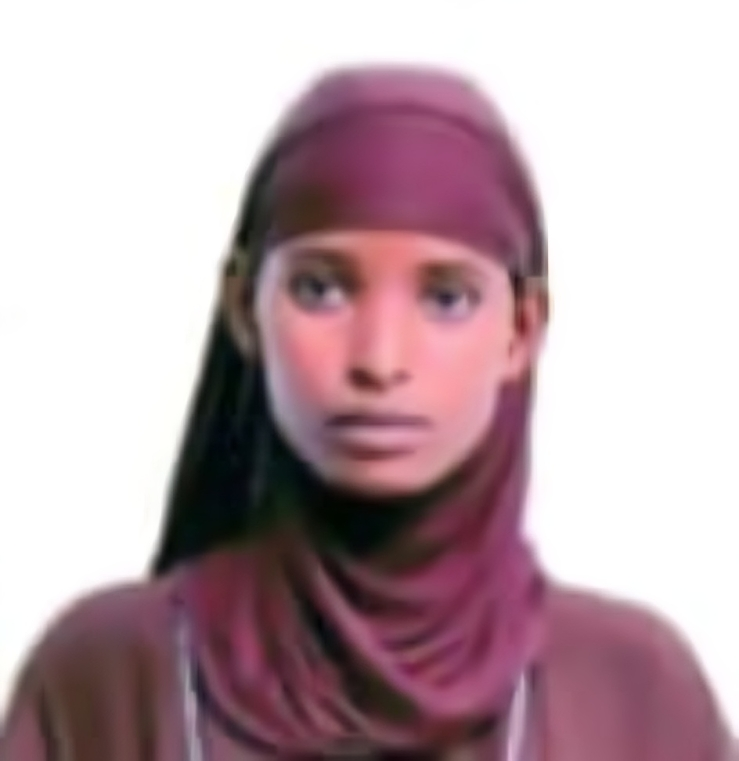 صورة العاملة