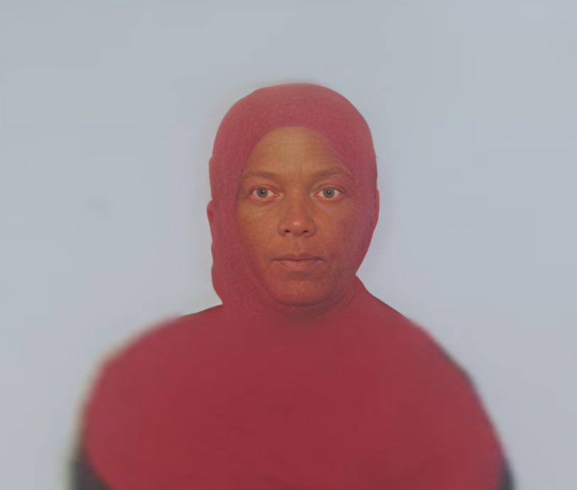 صورة العاملة