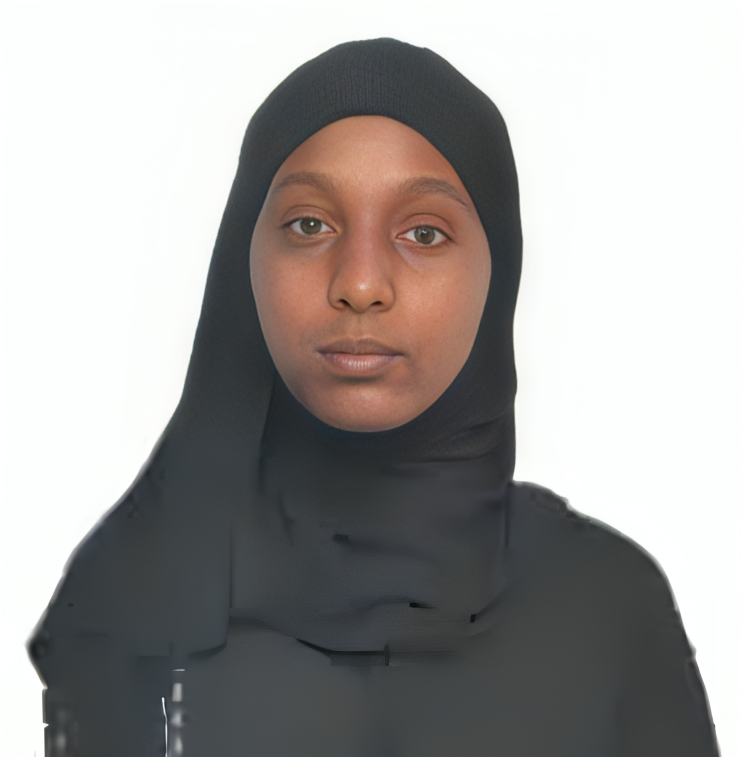 صورة العاملة