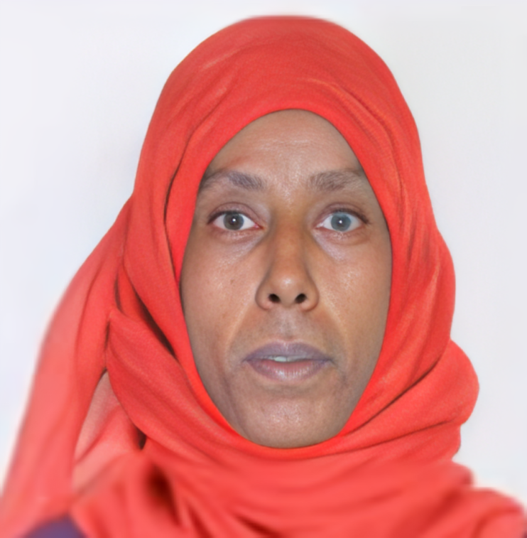 صورة العاملة